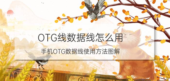 OTG线数据线怎么用 手机OTG数据线使用方法图解